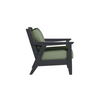 Chloe Lounge Chair with Aloe Cushion in Black Finish[Aloe][Black]
