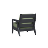 Chloe Lounge Chair with Aloe Cushion in Black Finish[Aloe][Black]