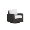 Caroline wicker Swivel Glider in Caviar finish with Canvas Birdseye cushions [Caviar][Canvas Birdseye]
