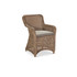 Avery dining arm chair