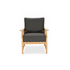 Layla Lowback Lounge Chair with Carbon Cushion [Carbon]