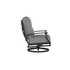 Clara Swivel Rocker with Steeple Grey Cushion and Antique Bronze Finish [Antique Bronze] fabric [Steeple Grey]