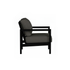 Alex Lounge Chair in Black Poly lumber frame color with Carbon cushions with white welt [Black][Carbon]