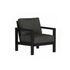 Alex Lounge Chair in Black Poly lumber frame color with Carbon cushions with white welt [Black][Carbon]