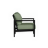 Alex Lounge Chair in Black Poly lumber frame color with Aloe cushions with white welt [Black][Aloe]
