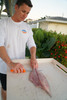 The Dexter Outdoors moldable handle UR-Cut knife