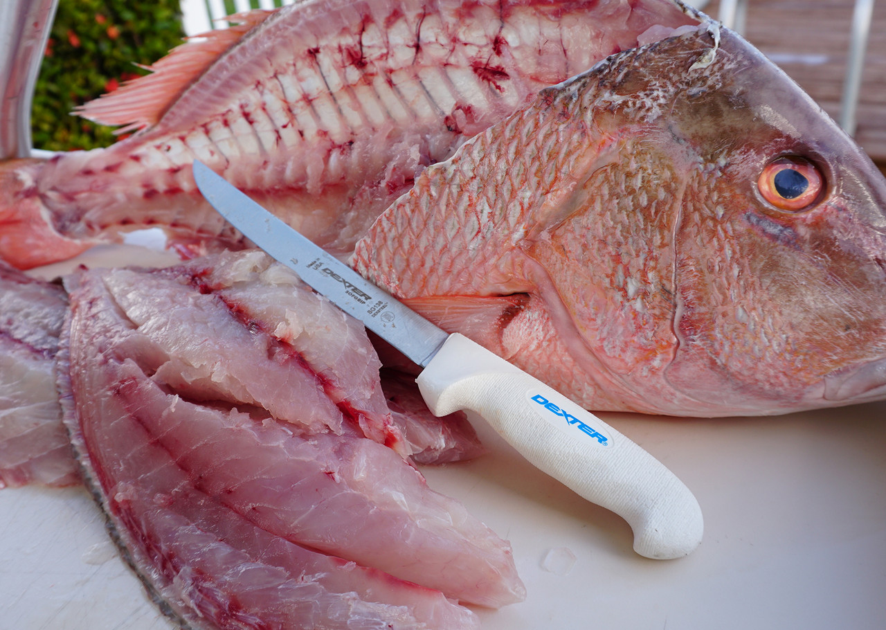 The 8 Best Fish Fillet Knives for 2024