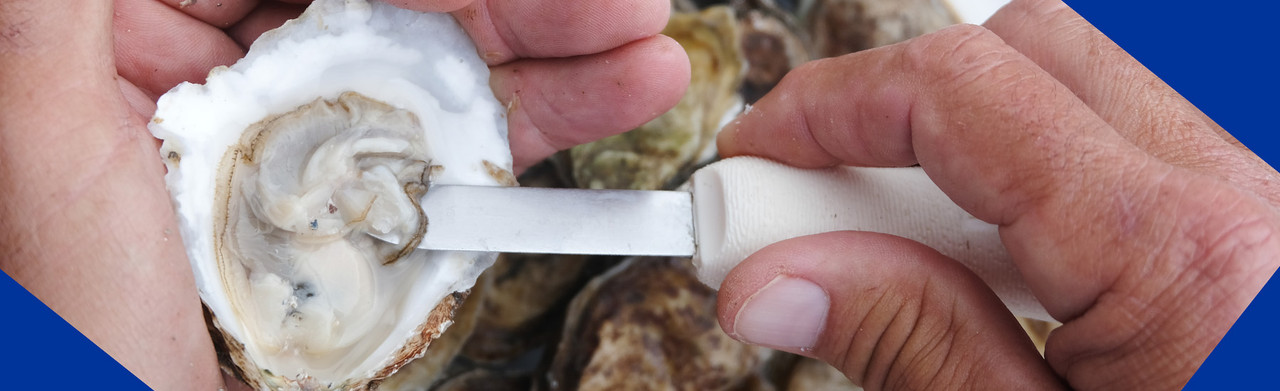 Shellfish Knives