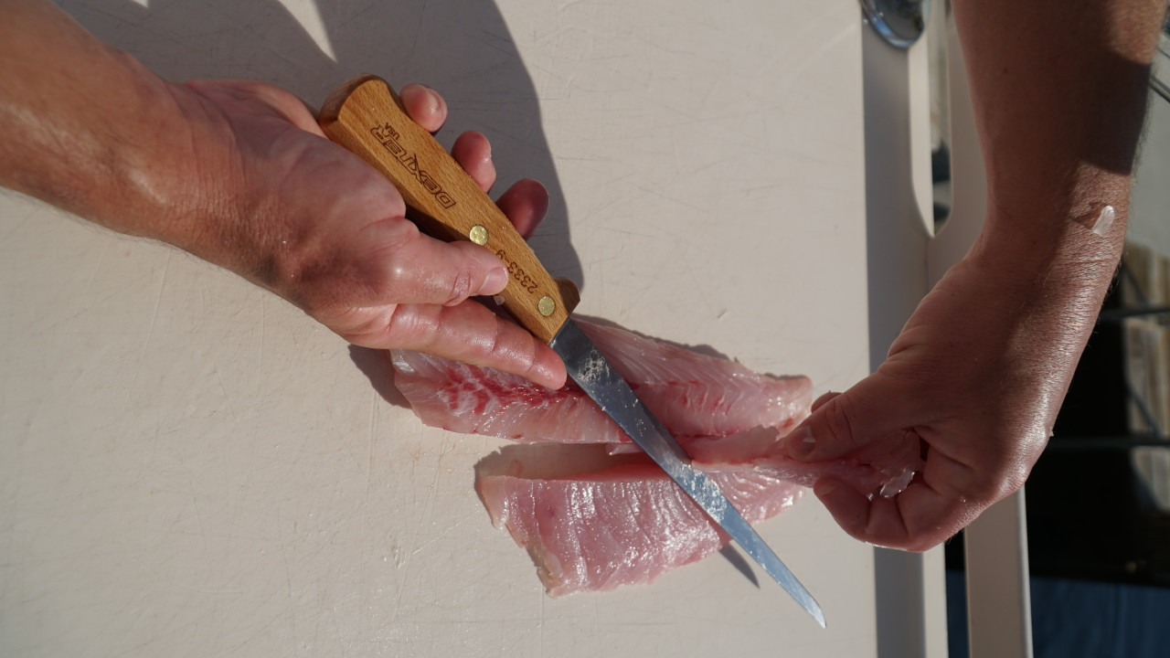Dexter Outdoors® S2333-8 8 inch Traditional fillet knife