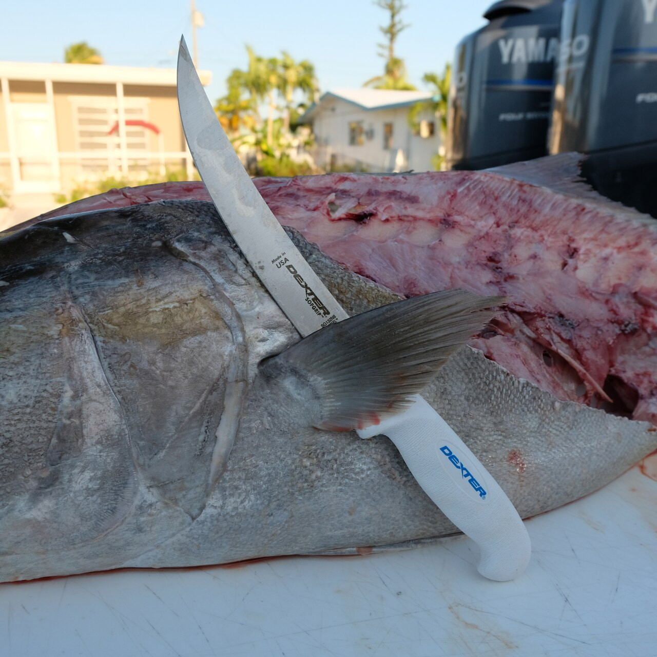 SG132N 10 inch SOFGRIP™ Sportfishing fillet knife