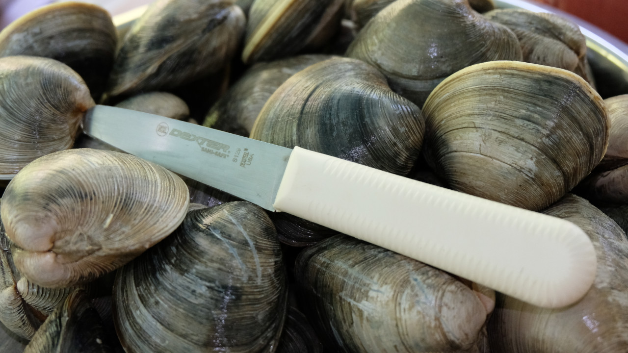 S129 3 3/8 inch Sani-Safe® Clam knife