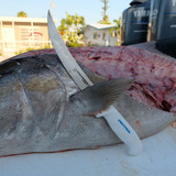 SG132N handles any fish.