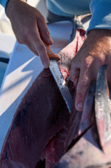 Dextreme lower edge for the fine work.