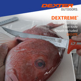 DX10TE going through scales