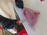 The DX7MF is skinning a fish