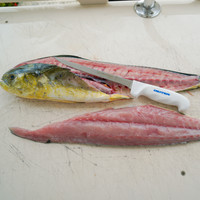 SG133-8WS1 8-inch narrow fillet knife.