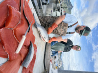 The Dexter S133N-7 is at work,