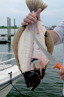 Get all the meat off with the Max Flex