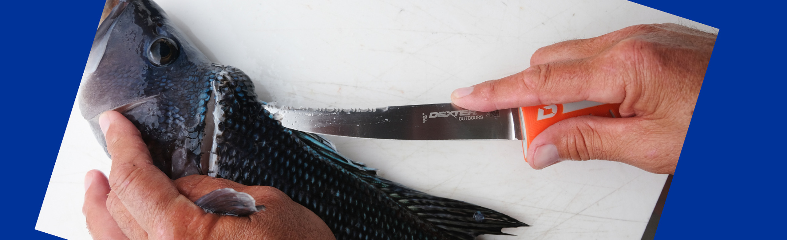 Fillet Knives for Sale Best Fishing Knives Dexter Outdoors