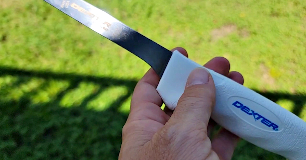 DEXTER FILLET KNIFE REVIEW (THE KNIFE THE PROS USE) Dexter Outdoors