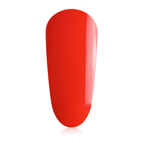 August_colour_gelpot_1