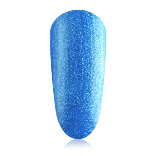 Blue Orchid