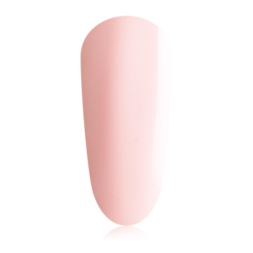 N29