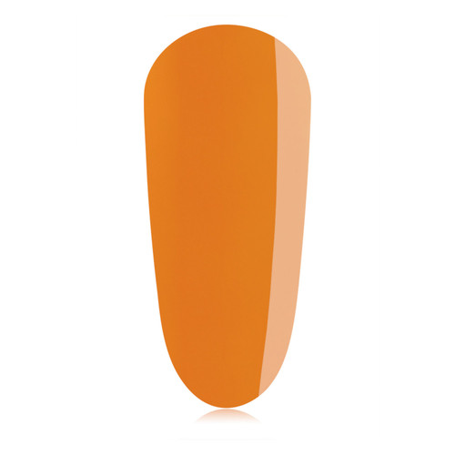 Atelier_colour_gelpot_1