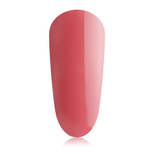 Rhubarb Mini