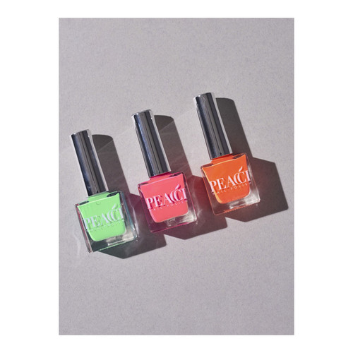Neon Starter Set
