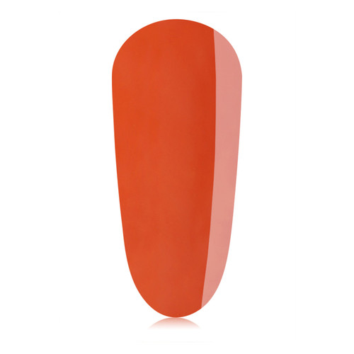 Ignite Mini
