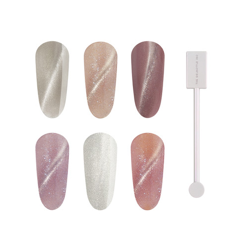 Magnetic Bundle