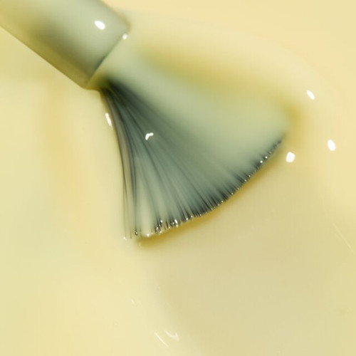 Sorbet BIAB™