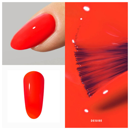 The Vibe Collection