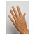 ProForm™ Shell_Essentials_3