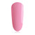 Pink Carnation