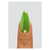 Lime Chrome Pigment_Essentials_4