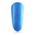 Blue Orchid