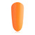 Bellini