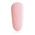 Plum Blossom Mini