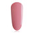 Oriental Lily Mini
