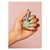 Peacci Matcha Latte_colour_gelpot_2 Peacci Matcha Latte_colour_gelpot_2