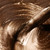 mustang_3