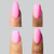 Rodeo Club Collection Rodeo Club Collection