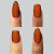 Tortuga_3 Tortuga_3