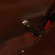Tortuga_4 Tortuga_4