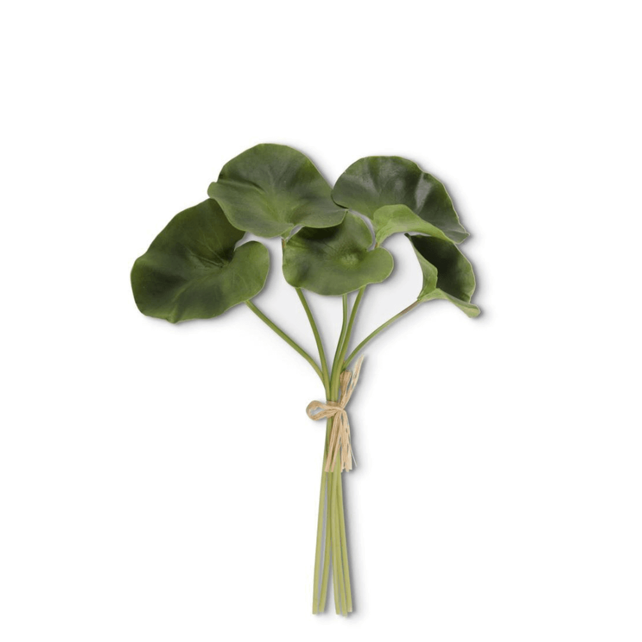 Real Touch Lotus Leaf Bundle