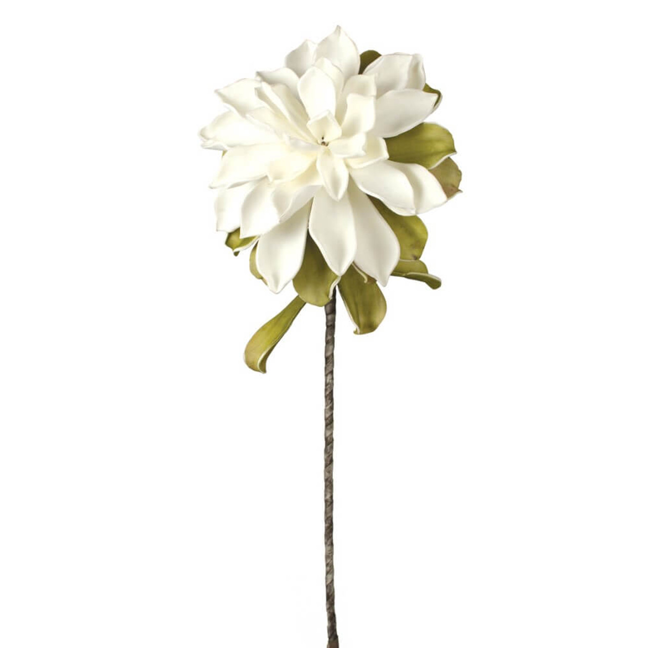 Single White Flower Stem with Leaves