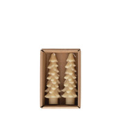 Creative Co-Op Tree Taper Candles Eggnog 5 Inch