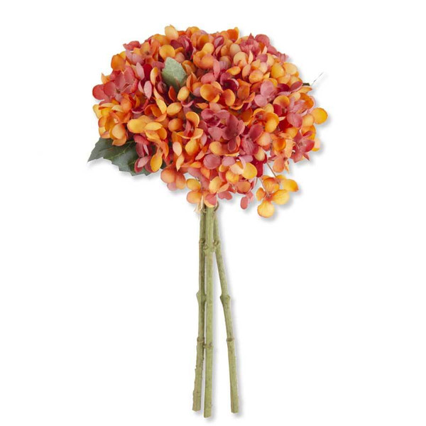 Bundle of three orange and wine colored hydrangea stems tied with raffia. Bundle of three orange and wine colored hydrangea stems tied with raffia.